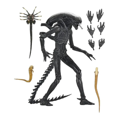 Alien: Romulus: Xenomorph XX121: Ultimate 7" Action Figure - Neca Action Figure