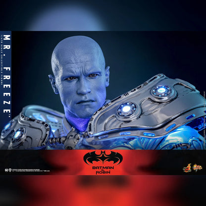 Batman & Robin: Mr. Freeze: 1/6th Scale Action Figure - Hot Toys Action Figure