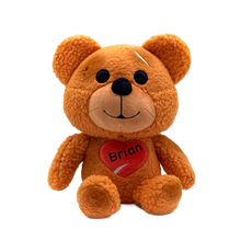 DayZ: Teddy Bear: Plush: 9" - YouTooz Plush