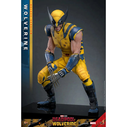 Deadpool & Wolverine: Wolverine: Deluxe - Hot Toys Action Figure