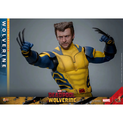 Deadpool & Wolverine: Wolverine: Deluxe - Hot Toys Action Figure