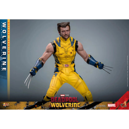 Deadpool & Wolverine: Wolverine: Deluxe - Hot Toys Action Figure