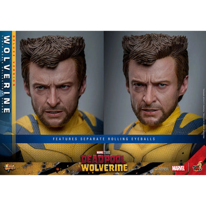 Deadpool & Wolverine: Wolverine: Deluxe - Hot Toys Action Figure