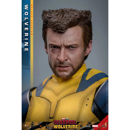 Deadpool & Wolverine: Wolverine: Deluxe - Hot Toys Action Figure