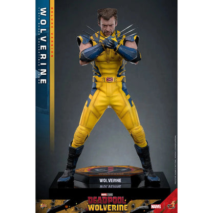 Deadpool & Wolverine: Wolverine: Deluxe - Hot Toys Action Figure