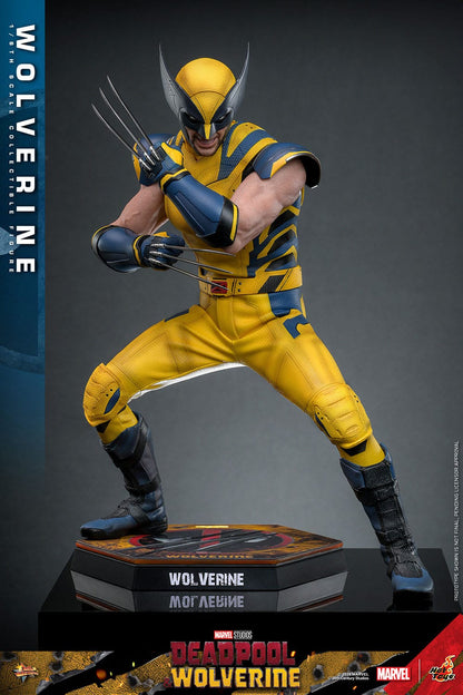 Deadpool & Wolverine: Wolverine: Hot Toys Hot Toys