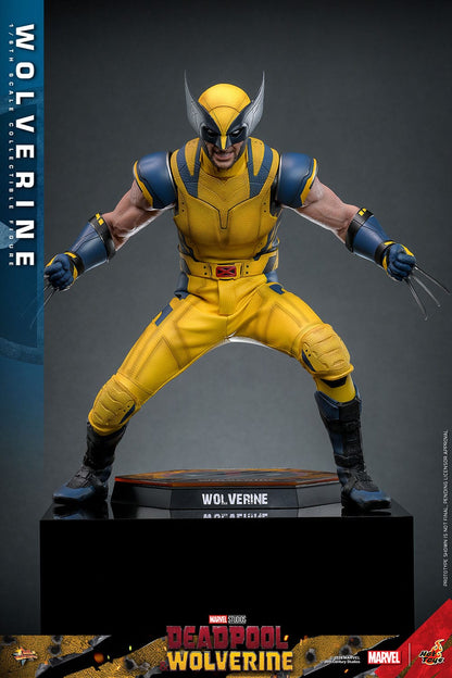 Deadpool & Wolverine: Wolverine: Hot Toys Hot Toys