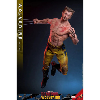 Deadpool & Wolverine: Wolverine: TVA Jacket Version - Hot Toys Action Figure