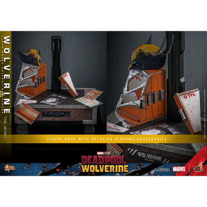 Deadpool & Wolverine: Wolverine: TVA Jacket Version - Hot Toys Action Figure
