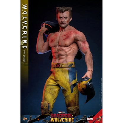 Deadpool & Wolverine: Wolverine: TVA Jacket Version - Hot Toys Action Figure