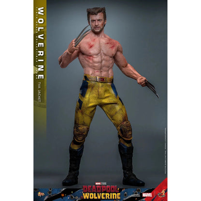 Deadpool & Wolverine: Wolverine: TVA Jacket Version - Hot Toys Action Figure