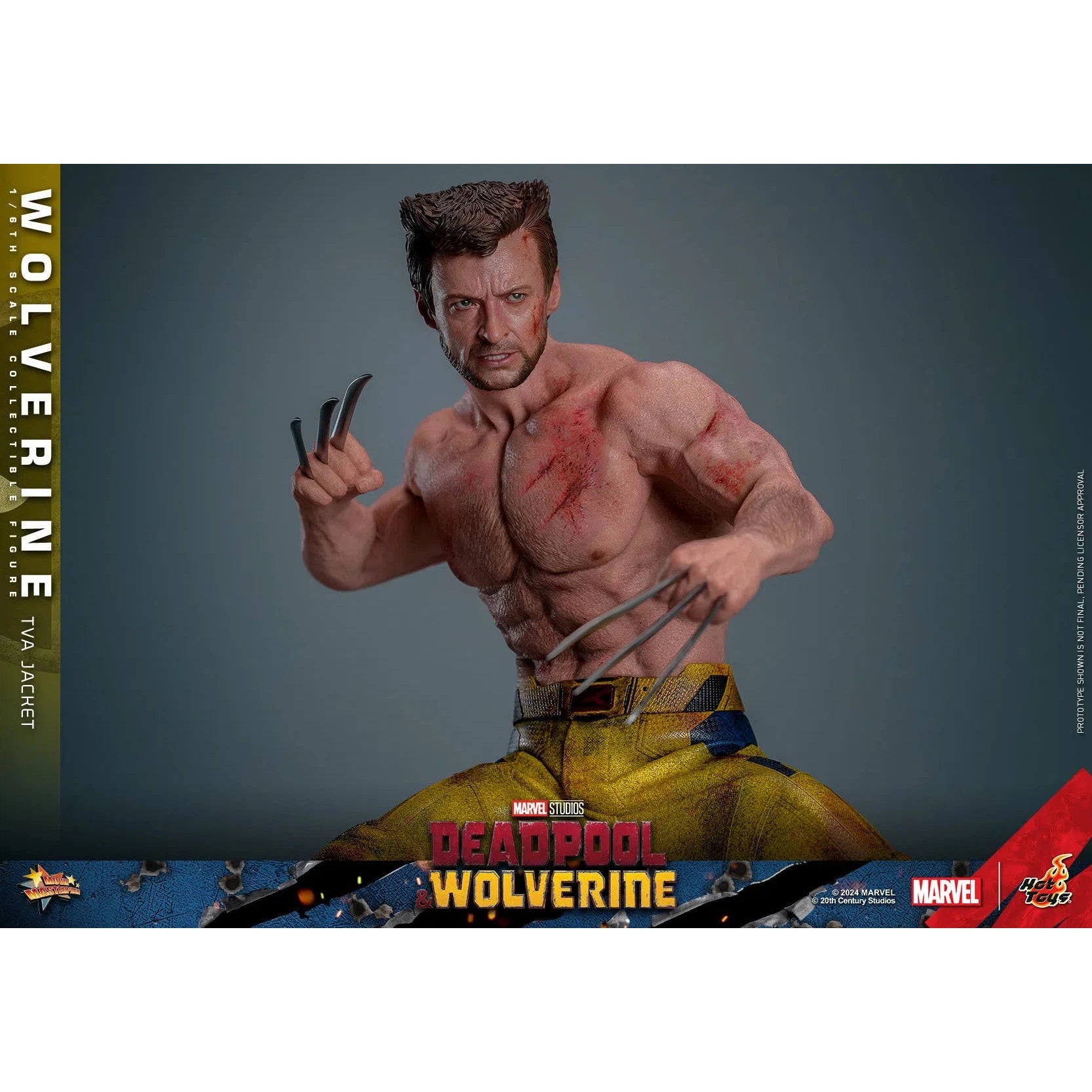 Deadpool & Wolverine: Wolverine: TVA Jacket Version: Hot Toys by Hot Toys – Action Figure, [scale], UK stockist Planet Action Figures