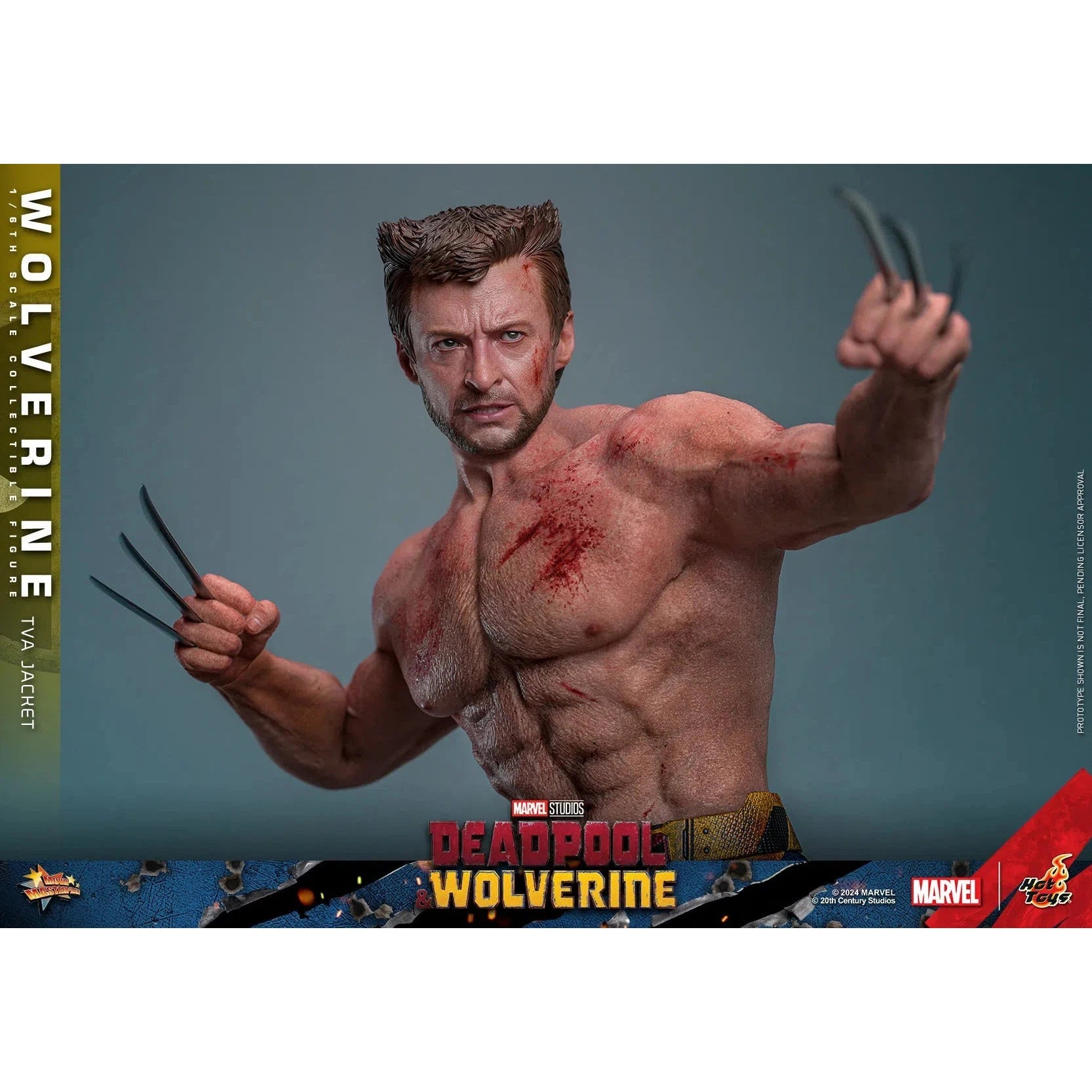 Deadpool & Wolverine: Wolverine: TVA Jacket Version: Hot Toys by Hot Toys – Action Figure, [scale], UK stockist Planet Action Figures