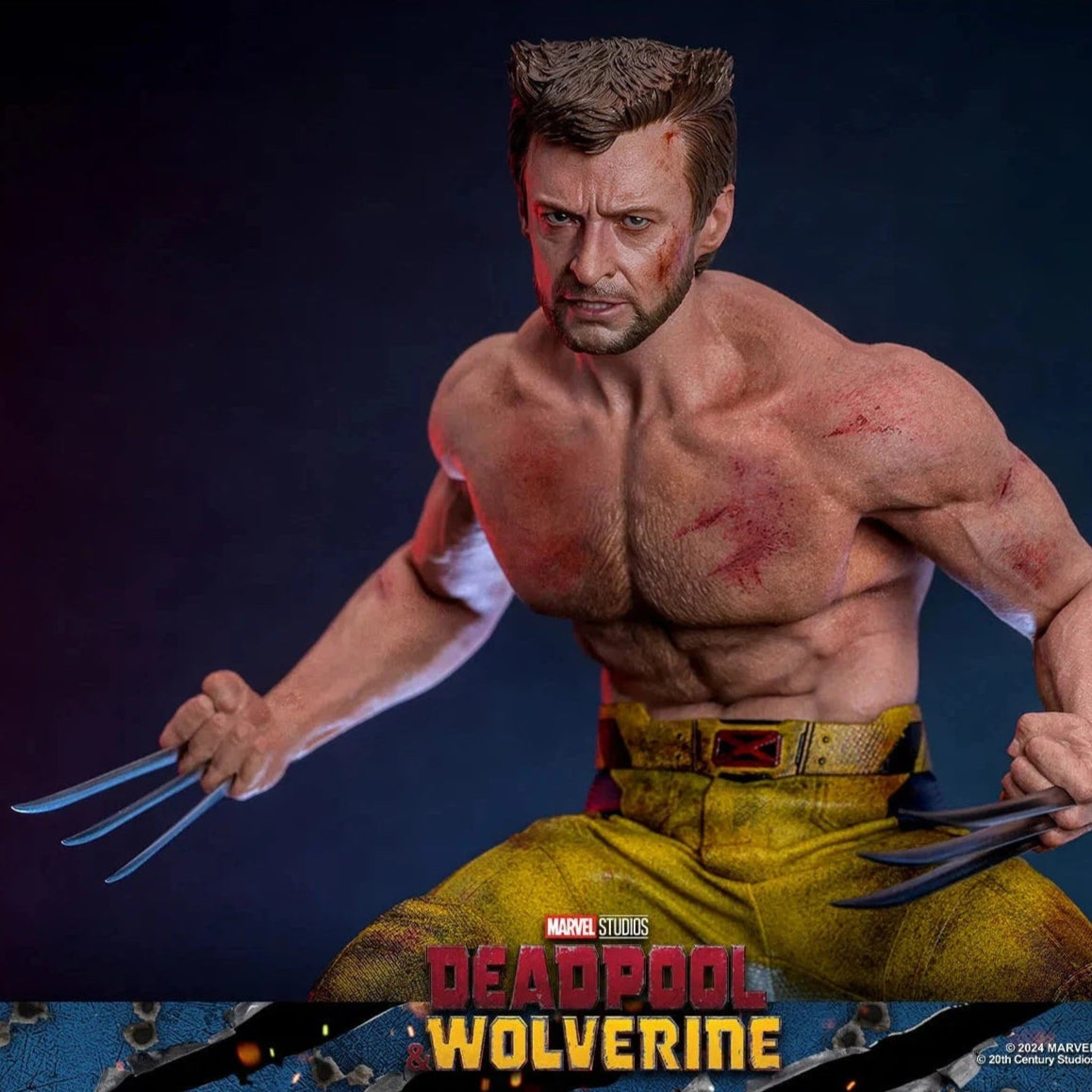 Deadpool & Wolverine: Wolverine: TVA Jacket Version: Hot Toys by Hot Toys – Action Figure, [scale], UK stockist Planet Action Figures