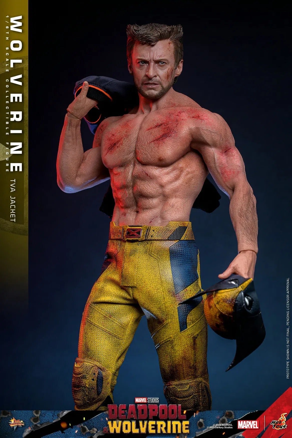 Deadpool & Wolverine: Wolverine: TVA Jacket Version: Hot Toys Hot Toys