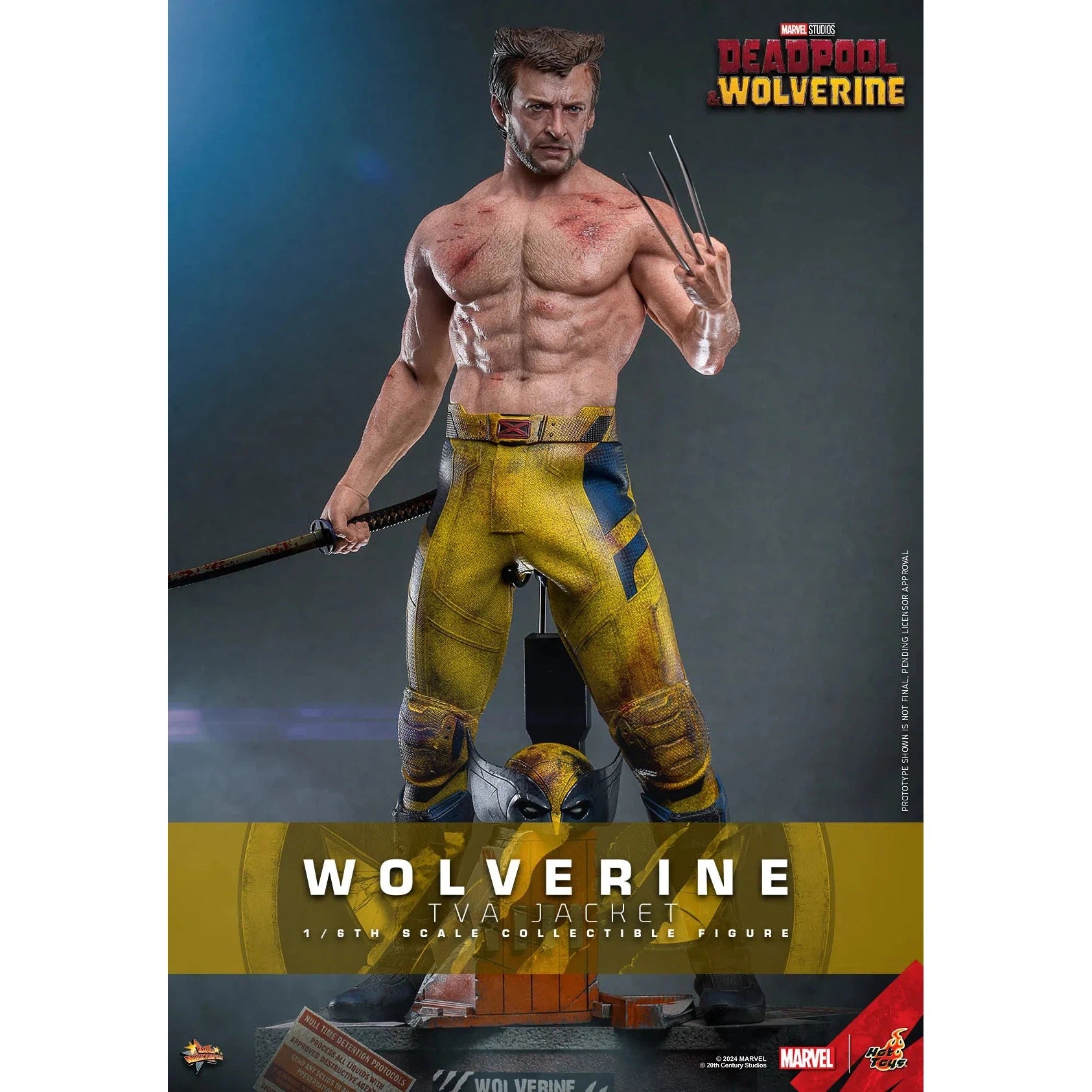 Deadpool & Wolverine: Wolverine: TVA Jacket Version: Hot Toys by Hot Toys – Action Figure, [scale], UK stockist Planet Action Figures