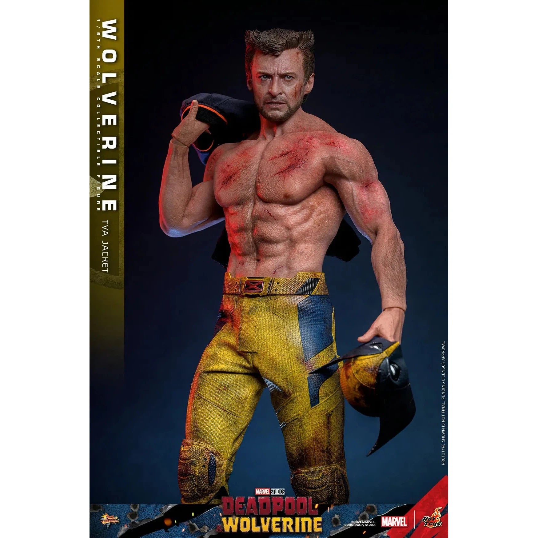 Deadpool & Wolverine: Wolverine: TVA Jacket Version: Hot Toys by Hot Toys – Action Figure, [scale], UK stockist Planet Action Figures
