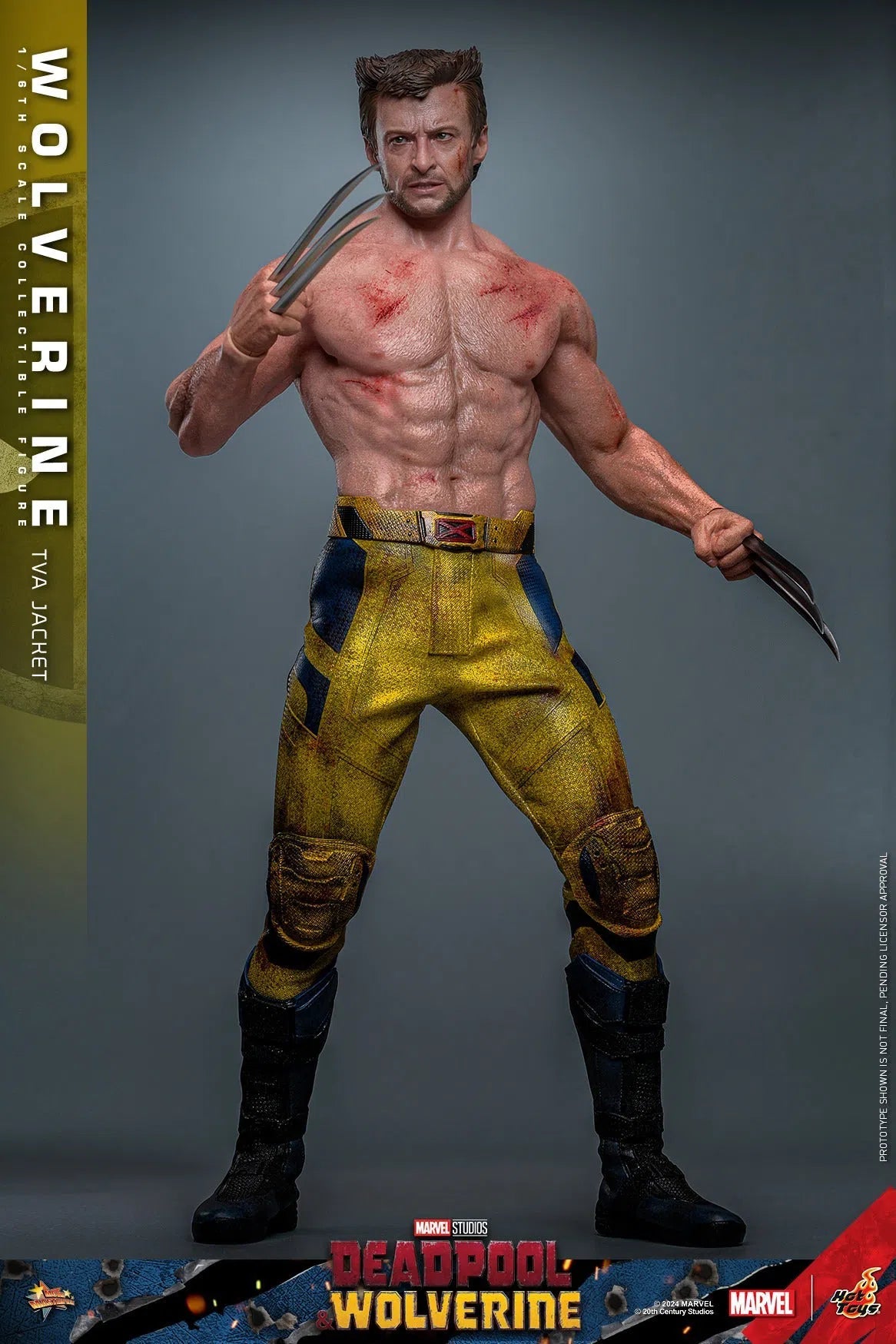 Deadpool & Wolverine: Wolverine: TVA Jacket Version: Hot Toys Hot Toys