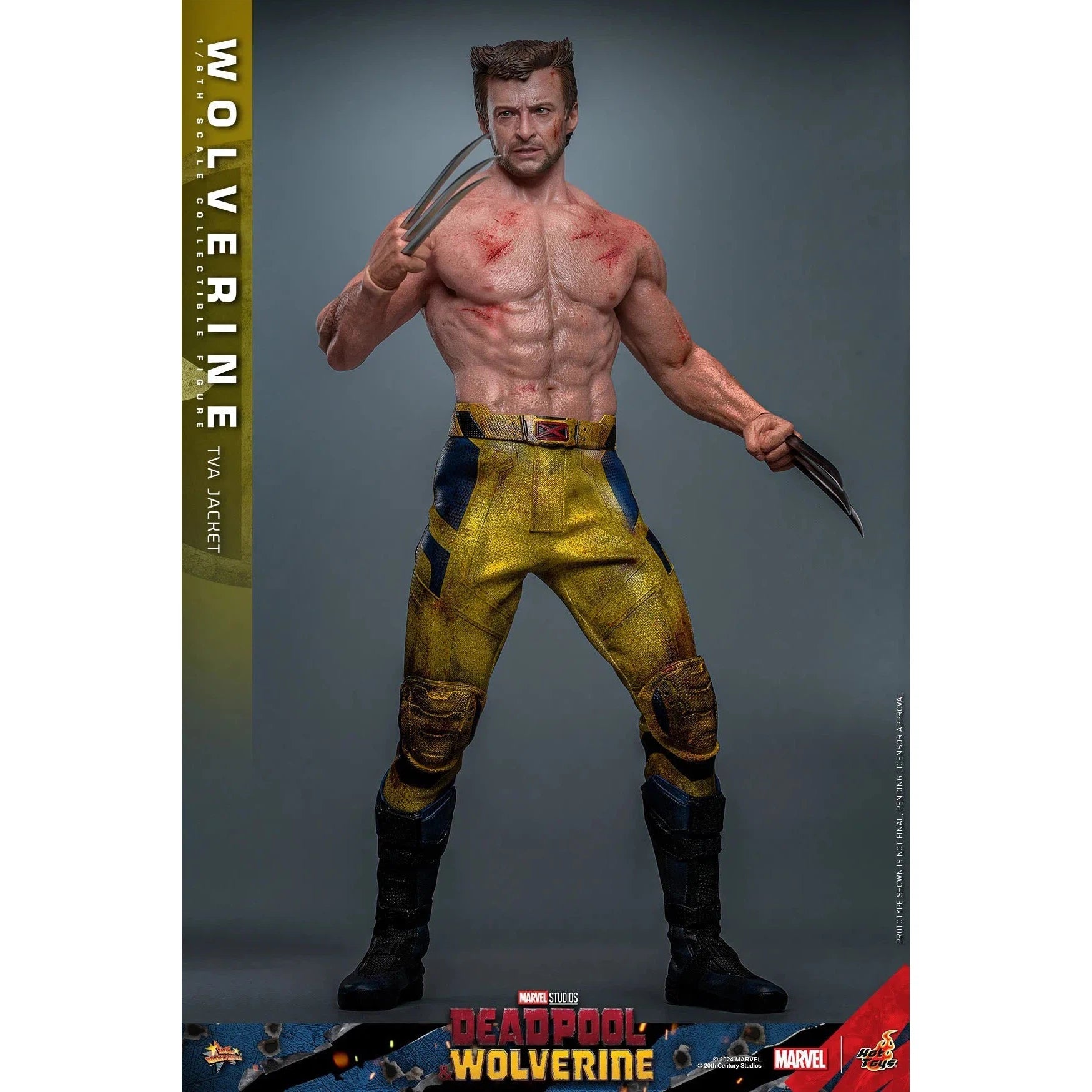 Deadpool & Wolverine: Wolverine: TVA Jacket Version: Hot Toys by Hot Toys – Action Figure, [scale], UK stockist Planet Action Figures