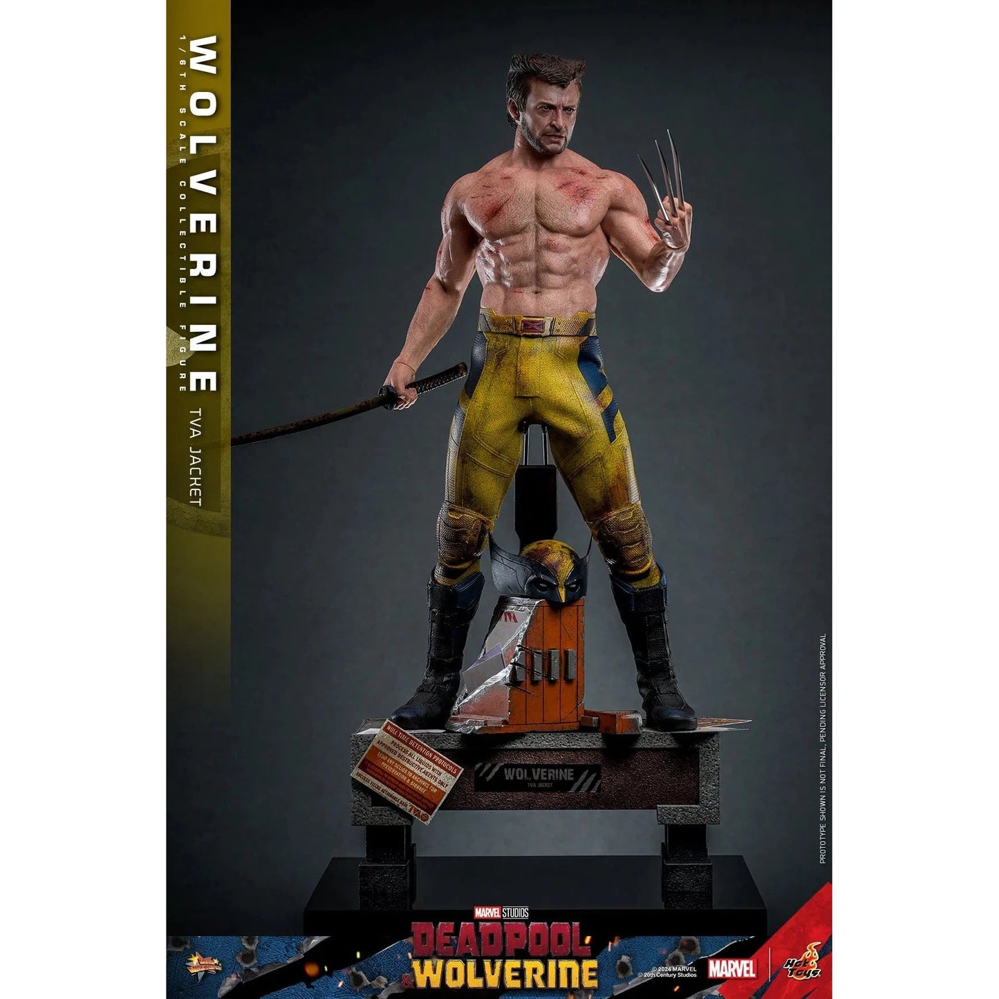 Deadpool & Wolverine: Wolverine: TVA Jacket Version: Hot Toys by Hot Toys – Action Figure, [scale], UK stockist Planet Action Figures