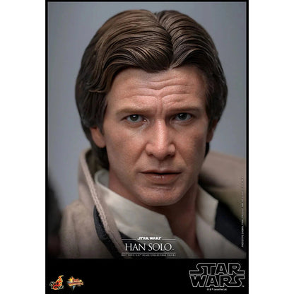 Han Solo: Star Wars: Return Of The Jedi - Hot Toys Action Figure