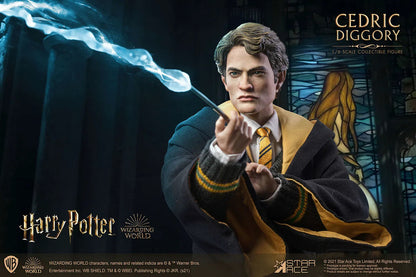 Harry Potter & The Goblet Of Fire: Cedric Diggory: Deluxe Figure - Star Ace Action Figures