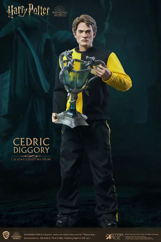 Harry Potter & The Goblet Of Fire: Cedric Diggory: Deluxe Figure - Star Ace Action Figures