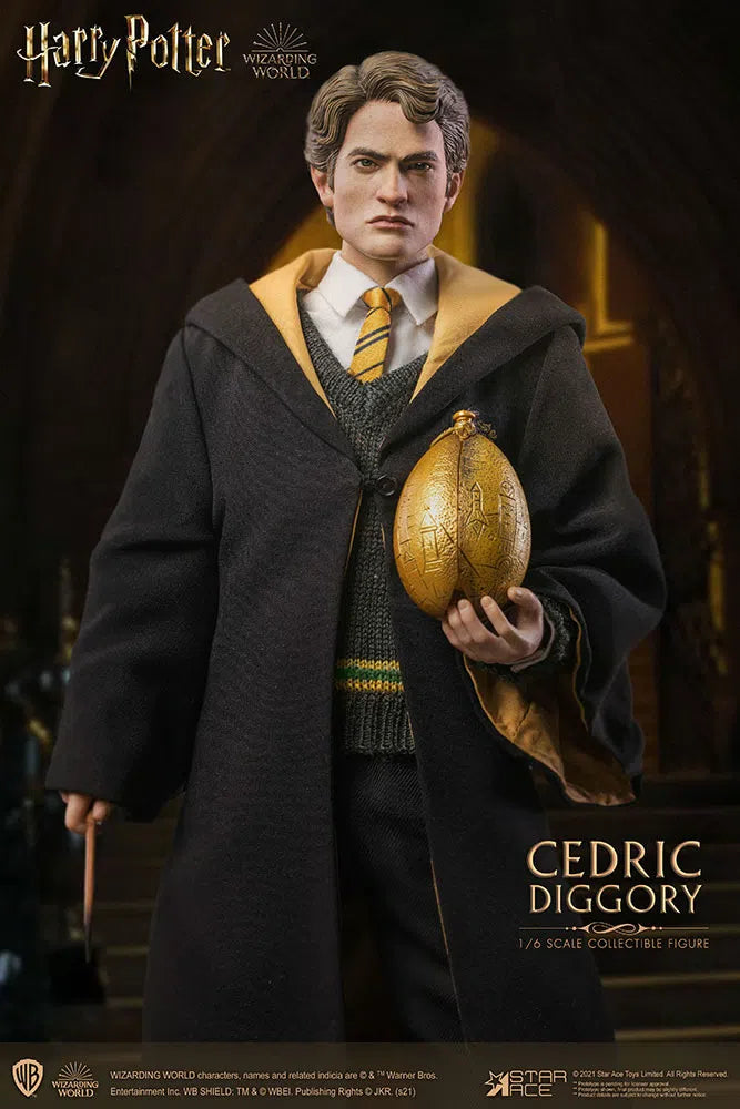 Harry Potter & The Goblet Of Fire: Cedric Diggory: Deluxe Figure - Star Ace Action Figures