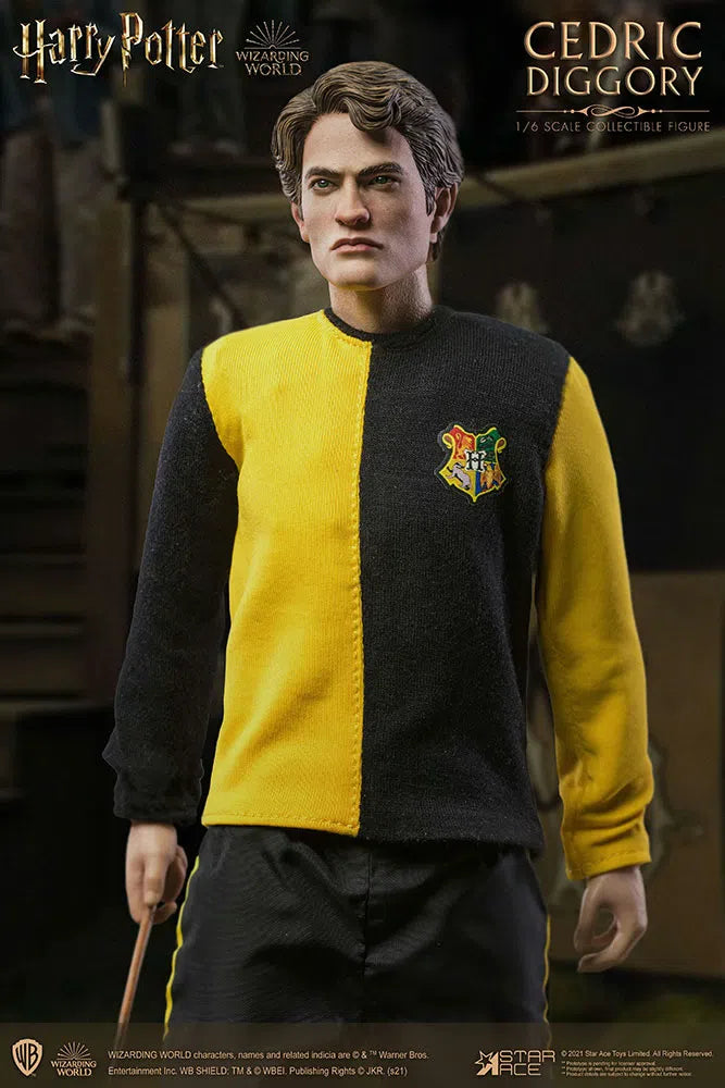 Harry Potter & The Goblet Of Fire: Cedric Diggory: Deluxe: Sixth Scale Figure Star Ace