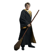 Harry Potter & The Goblet Of Fire: Cedric Diggory: Deluxe: Sixth Scale Figure Star Ace
