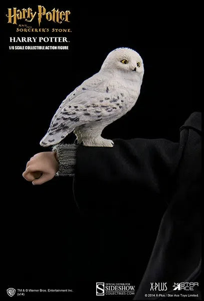 Harry Potter & The Sorcerers Stone: Harry Potter Figure - Star Ace Action Figures