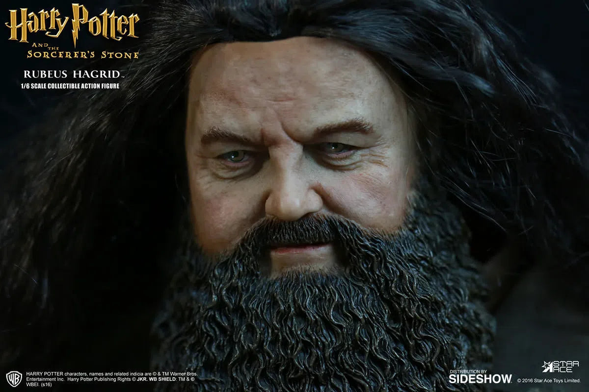 Harry Potter & The Sorcerers Stone: Rubeus Hagrid Deluxe: Sixth Scale Star Ace