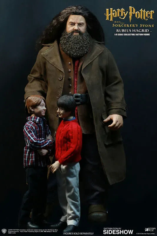 Harry Potter & The Sorcerers Stone: Rubeus Hagrid Deluxe: Sixth Scale Star Ace