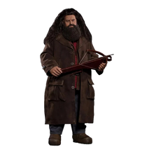 Harry Potter & The Sorcerers Stone: Rubeus Hagrid Deluxe: Sixth Scale Star Ace
