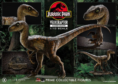 Jurassic Park Prime Collectibles Statue 1/10 Velociraptor Closed Mouth 19 cm - Prime 1 Studio Statues