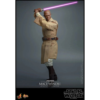 Mace Windu: Star Wars Episode II: Attack Of The Clones - Hot Toys Action Figure