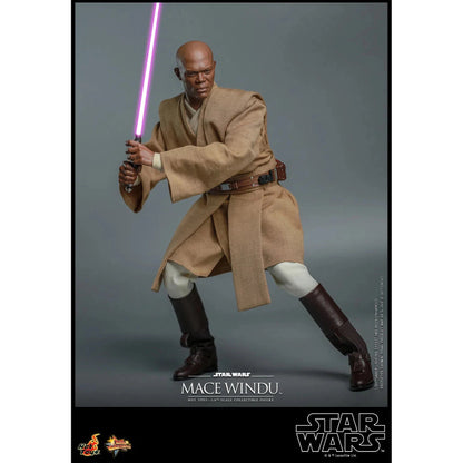 Mace Windu: Star Wars Episode II: Attack Of The Clones - Hot Toys Action Figure