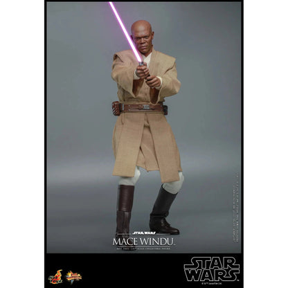 Mace Windu: Star Wars Episode II: Attack Of The Clones - Hot Toys Action Figure