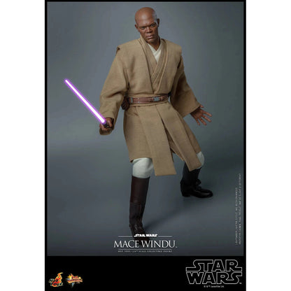 Mace Windu: Star Wars Episode II: Attack Of The Clones - Hot Toys Action Figure