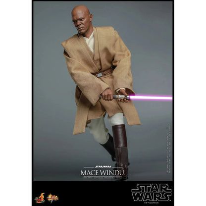 Mace Windu: Star Wars Episode II: Attack Of The Clones - Hot Toys Action Figure