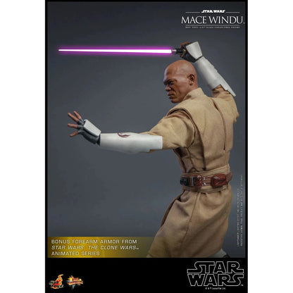 Mace Windu: Star Wars Episode II: Attack Of The Clones - Hot Toys Action Figure