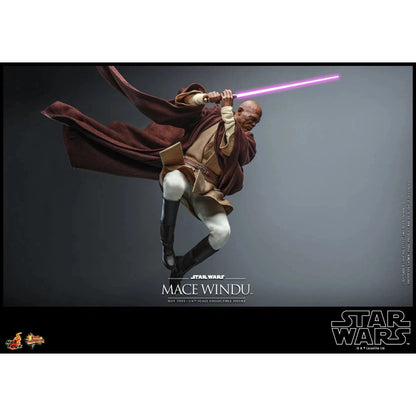 Mace Windu: Star Wars Episode II: Attack Of The Clones - Hot Toys Action Figure