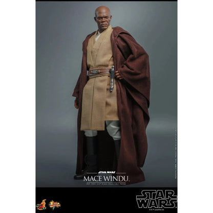 Mace Windu: Star Wars Episode II: Attack Of The Clones - Hot Toys Action Figure