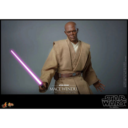 Mace Windu: Star Wars Episode II: Attack Of The Clones - Hot Toys Action Figure