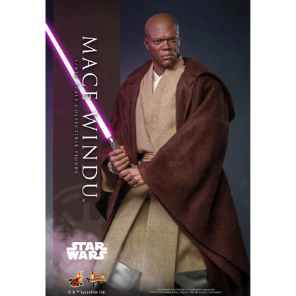 Mace Windu: Star Wars Episode II: Attack Of The Clones - Hot Toys Action Figure