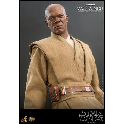 Mace Windu: Star Wars Episode II: Attack Of The Clones - Hot Toys Action Figure