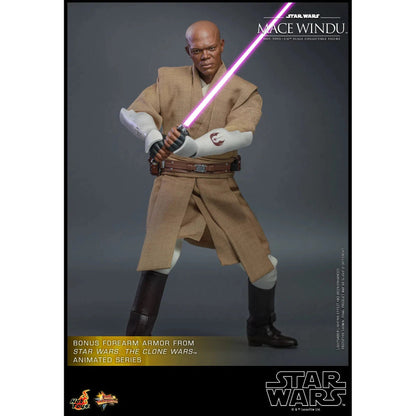 Mace Windu: Star Wars Episode II: Attack Of The Clones - Hot Toys Action Figure