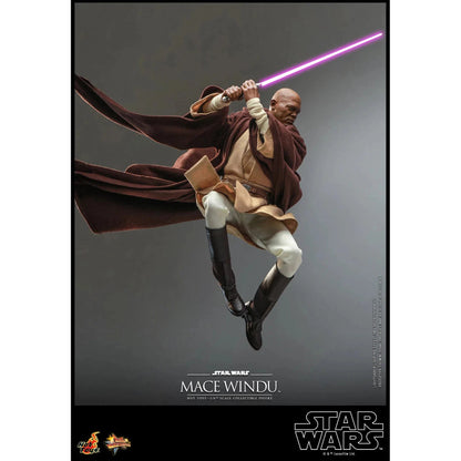 Mace Windu: Star Wars Episode II: Attack Of The Clones - Hot Toys Action Figure