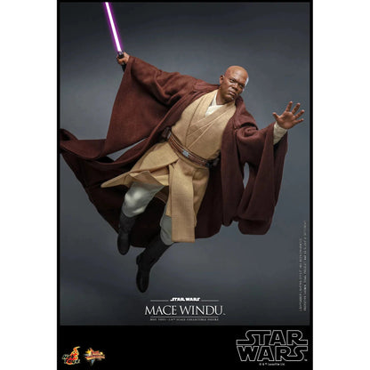 Mace Windu: Star Wars Episode II: Attack Of The Clones - Hot Toys Action Figure