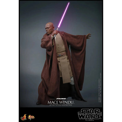 Mace Windu: Star Wars Episode II: Attack Of The Clones - Hot Toys Action Figure